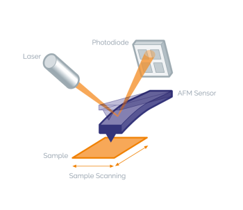 Atomic F或ce Microscopy (AFM)