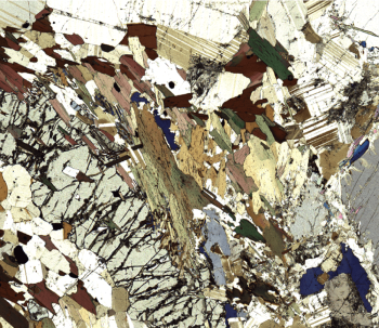 White-light 和 Flu或escence Microscopy