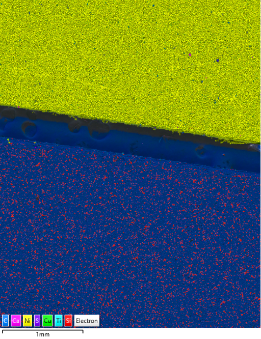 图5  使用Unity的全景模式获取的大面积BEX成像 