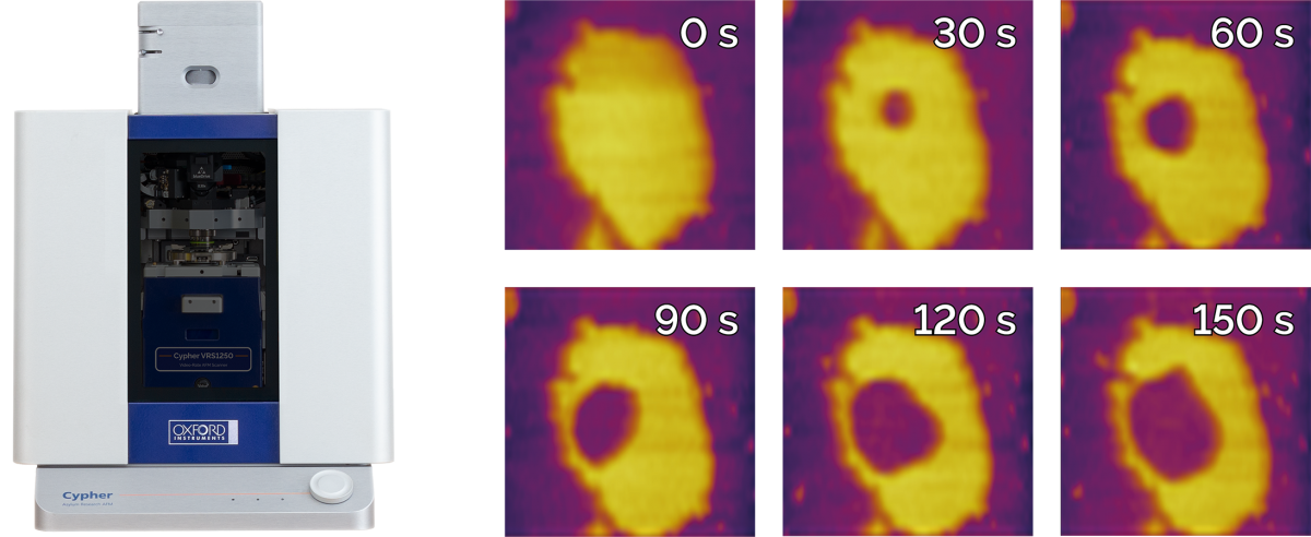 图片说明：(左) Cypher VRS1250仪器(右) Cypher VRS1250视频级AFM以每秒28帧的速率观察抗微生物肽降从脂双层的内部开始降解。本图只展示了整个实验12,000帧图中的6帧。