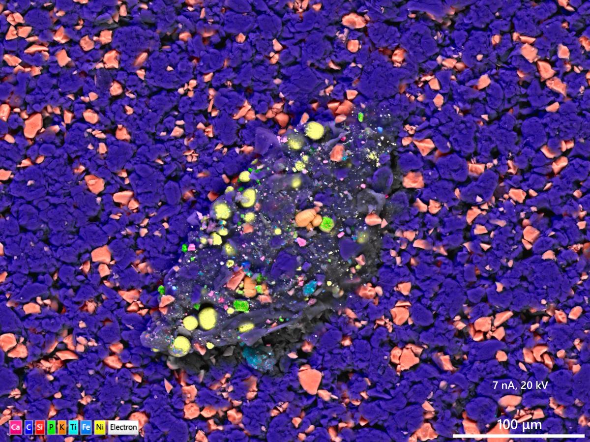 high resolution image of unexpected contaminant powder grain in anode sample