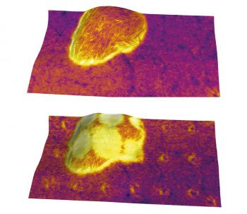 Ztherm Modulated Thermal Analysis