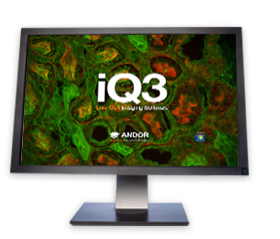 And或 iQ3