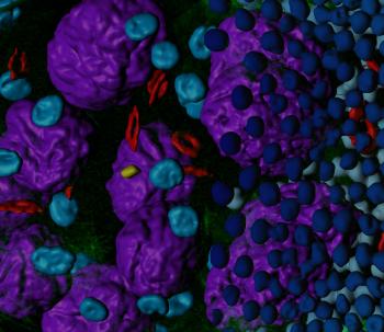Imaris 用于 Cell Biologists