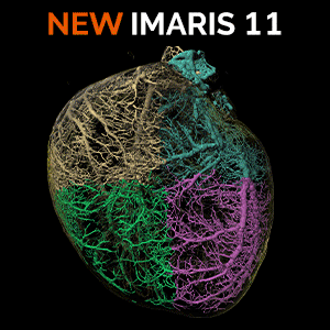 立即体验最新版IMARIS